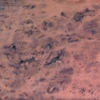 Claro Walnut Burl Wood Slab 18 inches x 48 inches - 10/4 