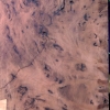 Claro Walnut Burl Wood Slab 20 inches x 48 inches - 10/4 