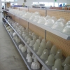 Glass Globes