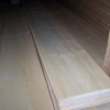 1x12 Tongue and Groove premium Pine