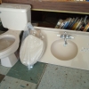 Bathroom sink counter top & Toilet - $100 (Roanoke Rapids, NC)