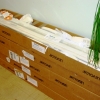 Levelor Faux Wood Blinds