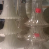 Lights and Bulbs