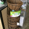 Hanging Baskets