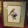 Finch Bird Print