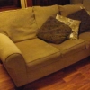 Pale Olive and Gold Couch