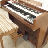 Organ